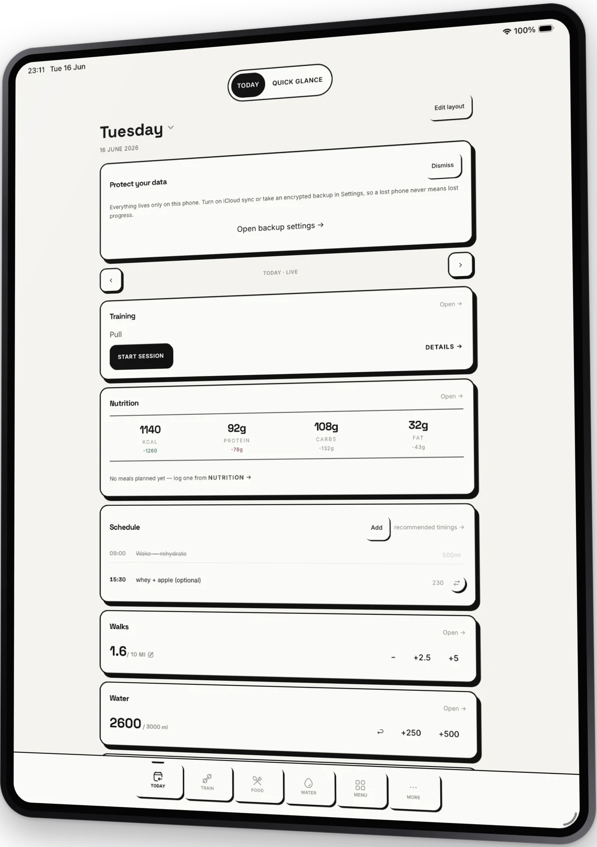 iPad